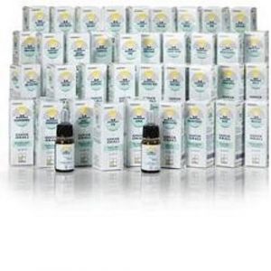 NOMABIT SCLERANTHUS GL 6G