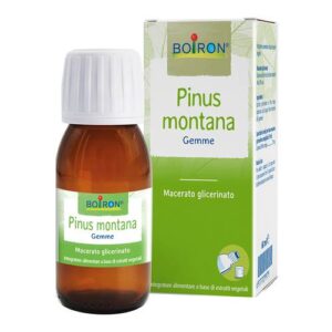 PINUS MONTANA BOIRON MG 60ML
