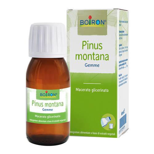 PINUS MONTANA BOIRON MG 60ML