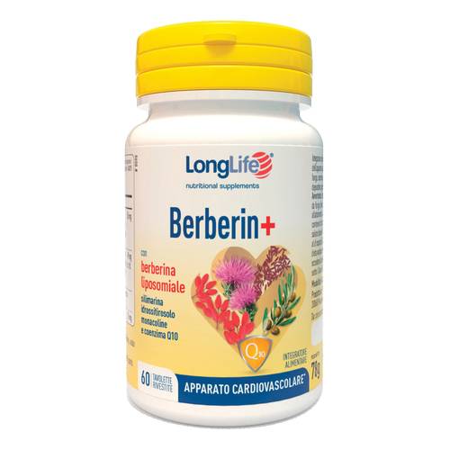 LONGLIFE BERBERIN+ 60TAV RIVES