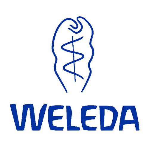 LA MIA BEVANDA ATTIVA BETULLA