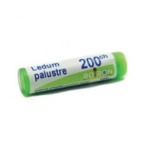 LEDUM PALUST 200CH GL 1G